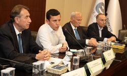 Zeytinyağı ihracatına yönelik tedbirin kimseye faydası olmadı!