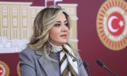 Aylin Cesur da İYİ Parti'den istifa etti