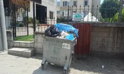 Bursa'da Odunluk Mahallesi çöp ve koku problemiyle karşı karşıya