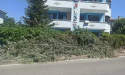 Çamlıca Mahallesi’nde kesilen ağaçlar trafiği engelliyor