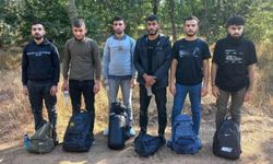 Edirne'de 16 göçmen yakalandı