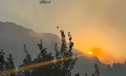 Kahramanmaraş’ta korkutan orman yangını kontrol altında