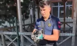 Sivas'ta düşen kediyi itfaiye ekipleri kurtardı