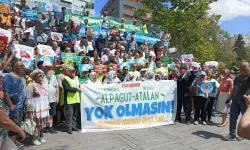 Alpagut-Atalan yok olmasın! Bu proje doğa ve yaşam talanı projesi!