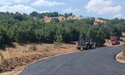 Hekimhan’da yol çalışmaları devam ediyor