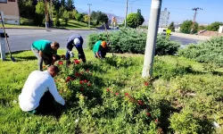 Kayseri Büyükşehir'den yabani otlarla sıkı mücadele