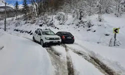 Sakarya'dan kar raporu... Kapalı grup yolu kalmadı