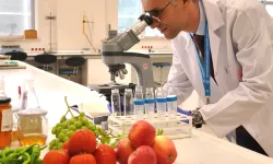 Bakanlık o listeleri güncelledi