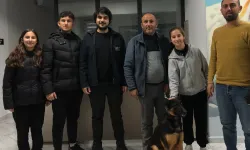 Kocaeli'de  275 cana yuva bulundu