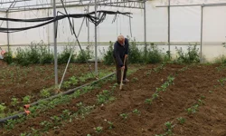 Kocaeli’nde üreticilere yüzde 50 hibeli modern sera desteği