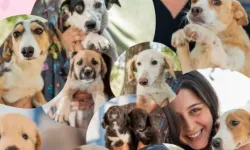 Muğla Milas’ta sevgi dolu yuvalar aranıyor