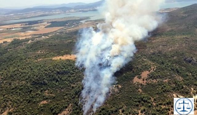 İzmir'in iki ilçesinde orman yangını başladı