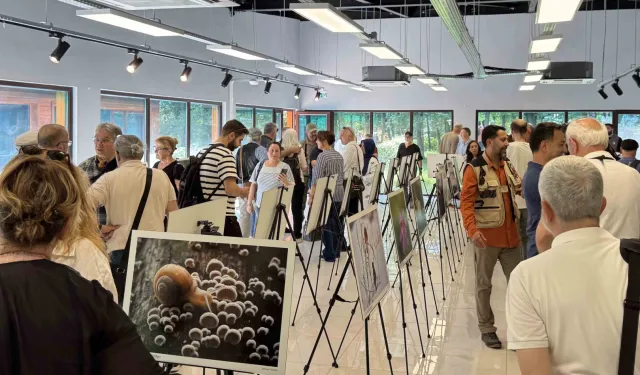 'Türkiye’nin Doğası' sergisi sanatseverlerle buluşuyor!