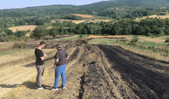 Yangında zarar gören çiftçilere Kocaeli'de tohum desteği