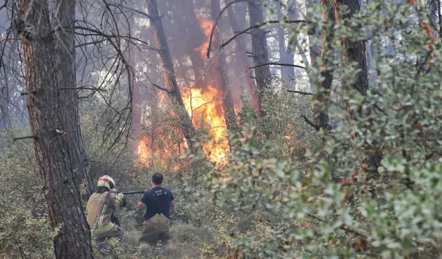Bursa Büyükşehir'den Gündoğdu yangını seferberliği