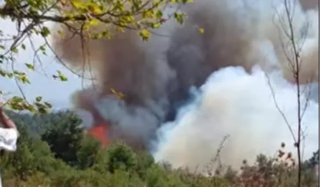 Bursa Gündoğdu Tepesi’nde orman yangını