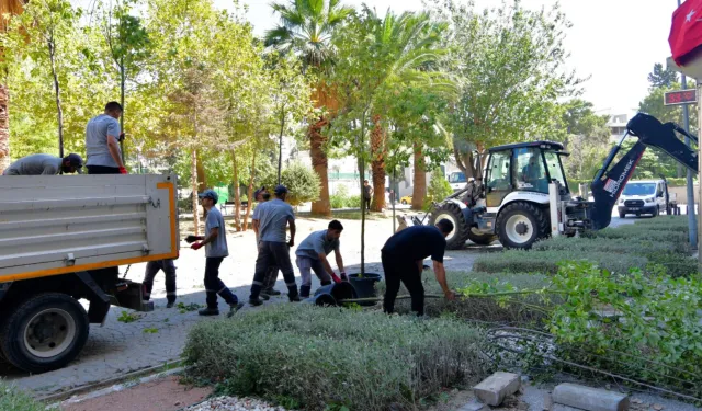 İzmir Bornova’da sakura ve tarçınla yeni bir soluk