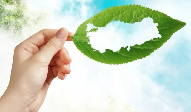 MEB'den 'yeşil vatan' seferberliği