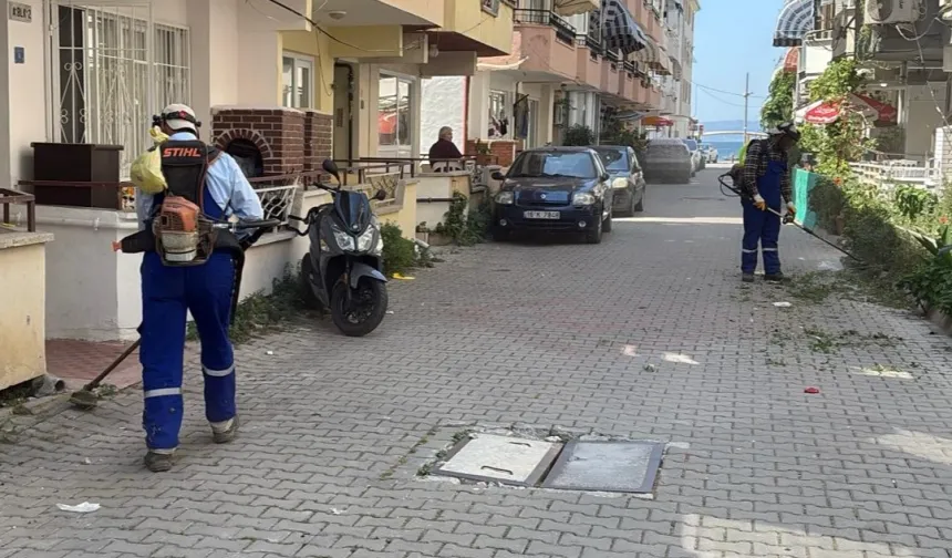 Bursa'da Gemlik Belediyesi'nden Kumla’ya yaz temizliği desteği